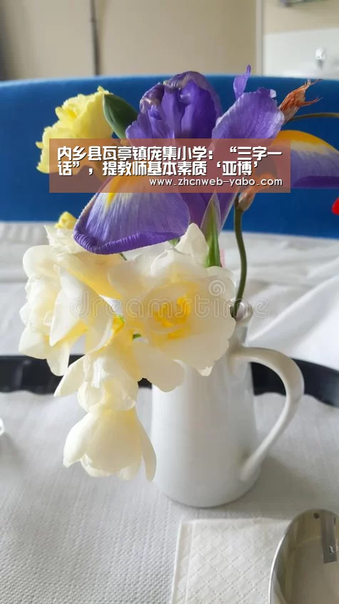 内乡县瓦亭镇庞集小学:“三字一话”,提教师基本素质‘亚博’(图3) 亚博体育