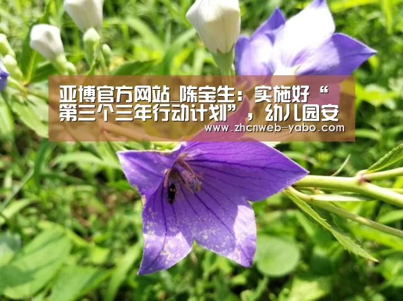 亚博官方网站_陈宝生:实施好“第三个三年行动计划”,幼儿园安全人防+物防+技防(图3) 亚博