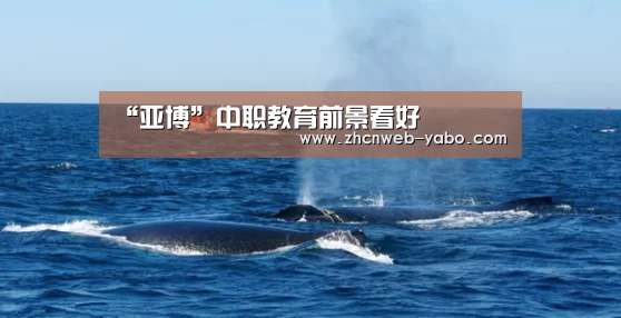 “亚博”中职教育前景看好(图2) 亚博体育